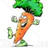 Porkkana82