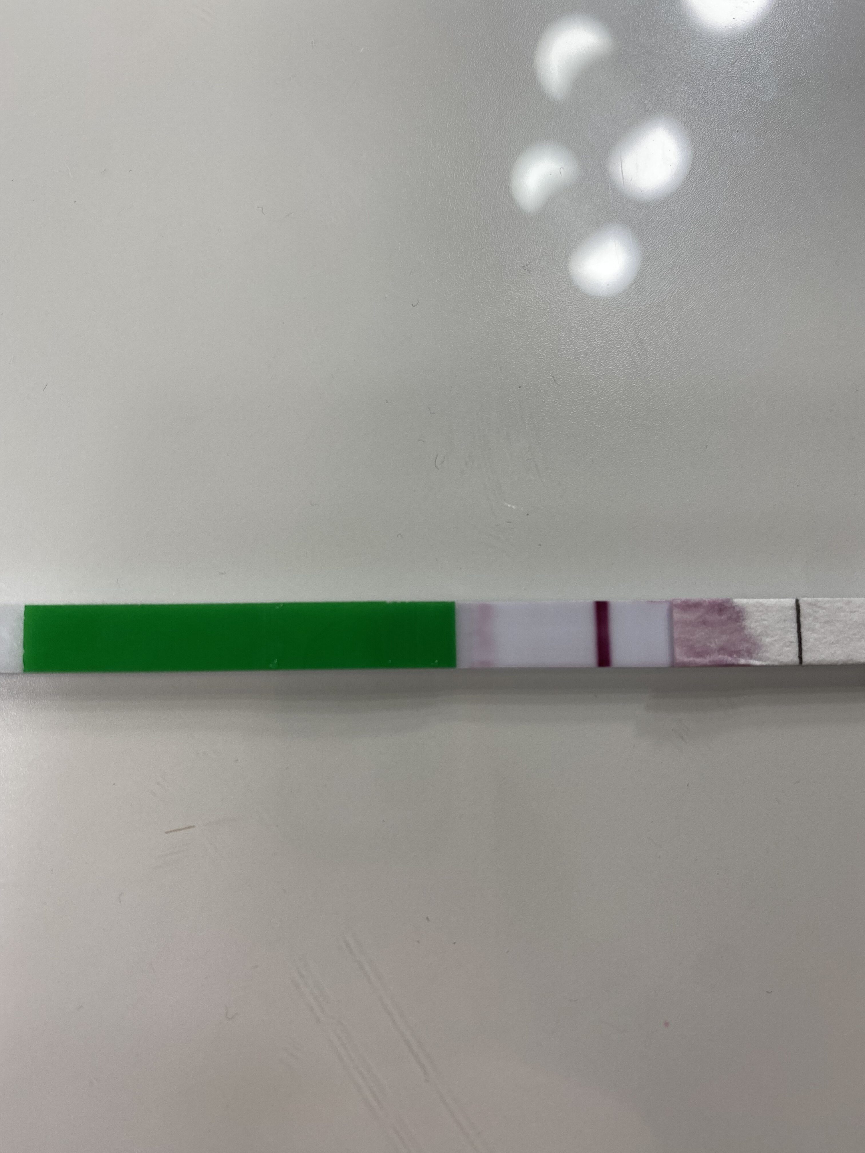 041E06CA-40CD-4507-8076-89D1A89FF66B.jpeg