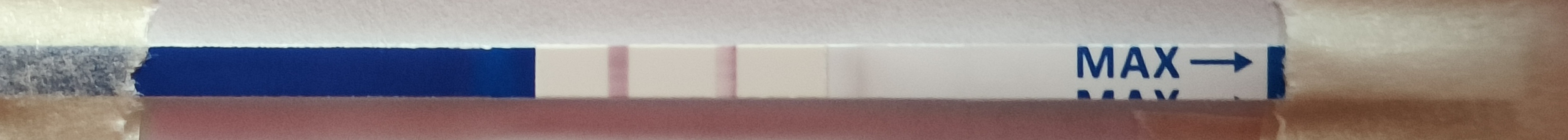 1000010953.jpg