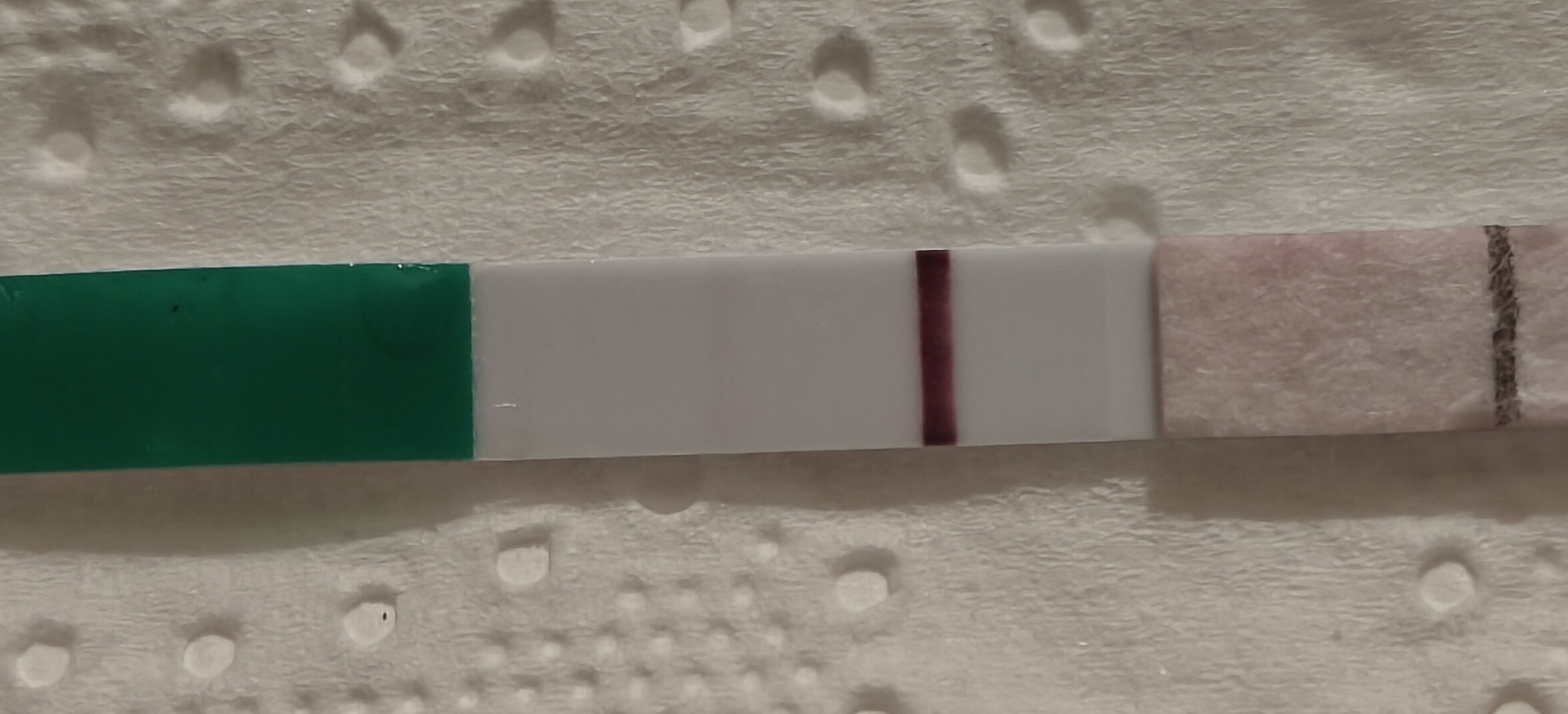 1000029767.jpg