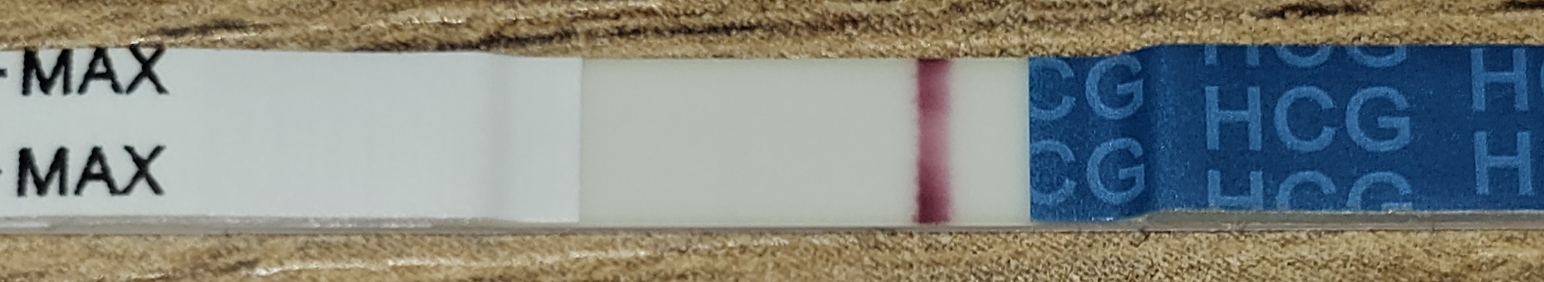 1000030332.jpg