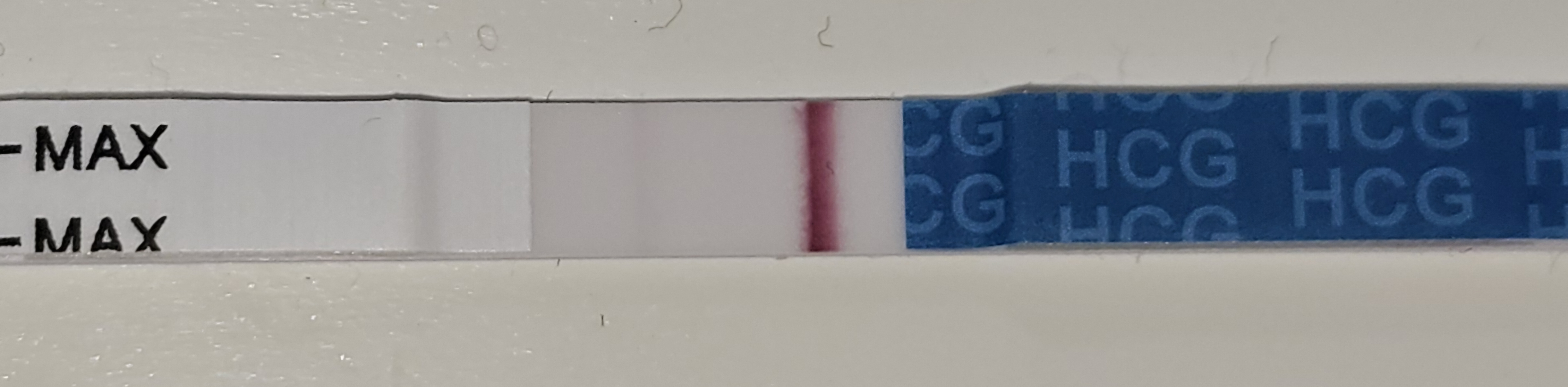 1000030447.jpg