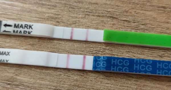 1000030531.jpg