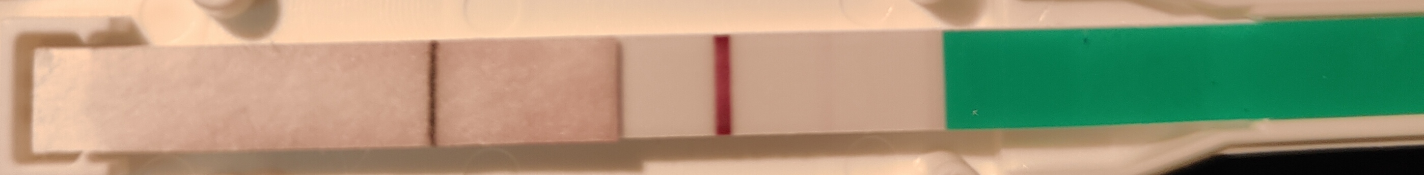 1000048749.jpg