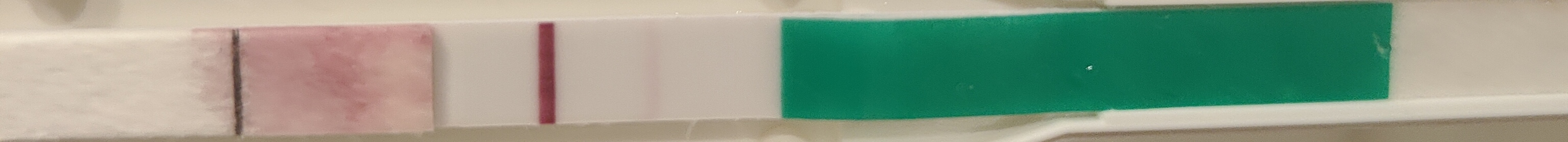 1000048959.jpg