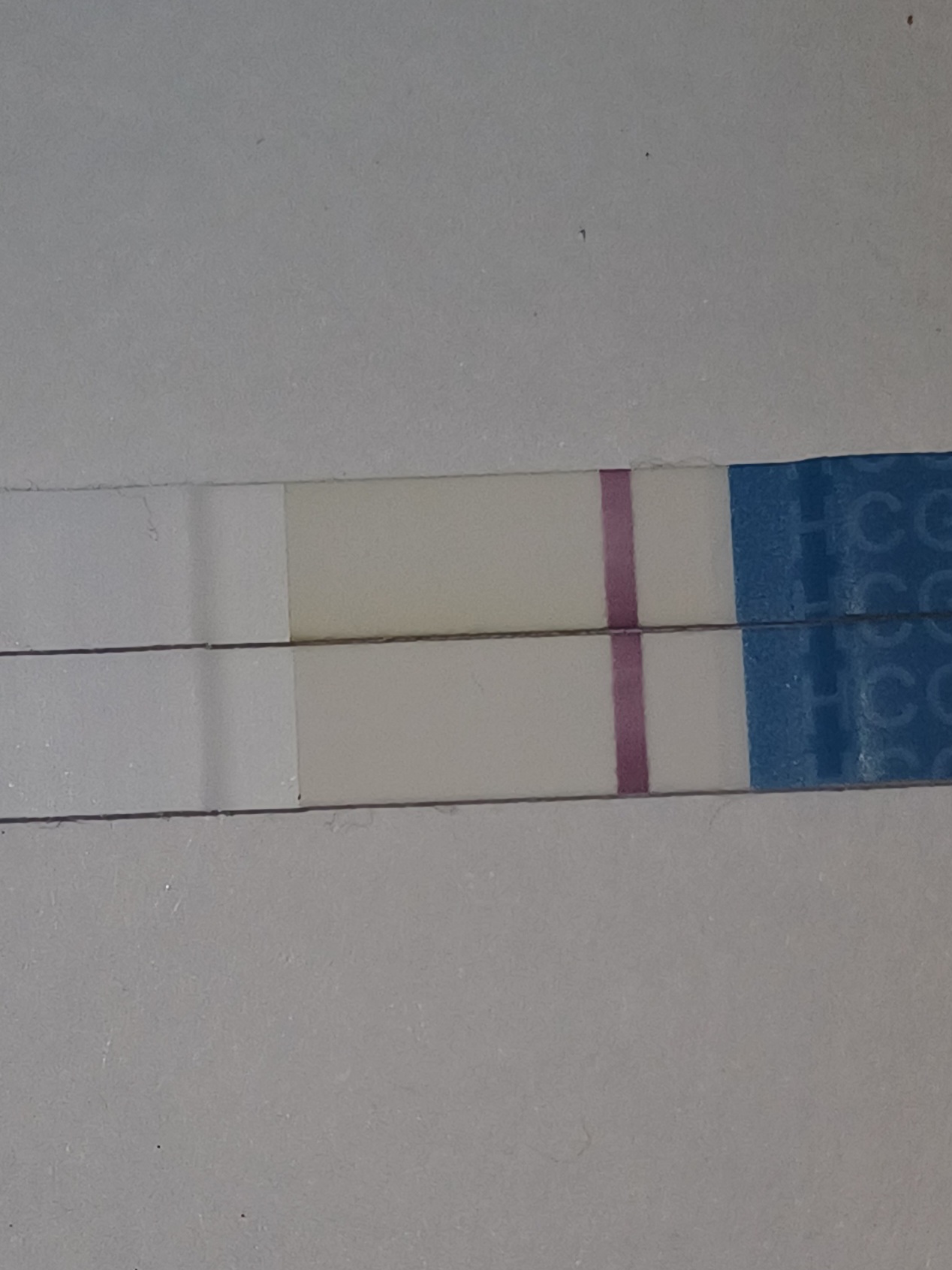 1000051384.jpg