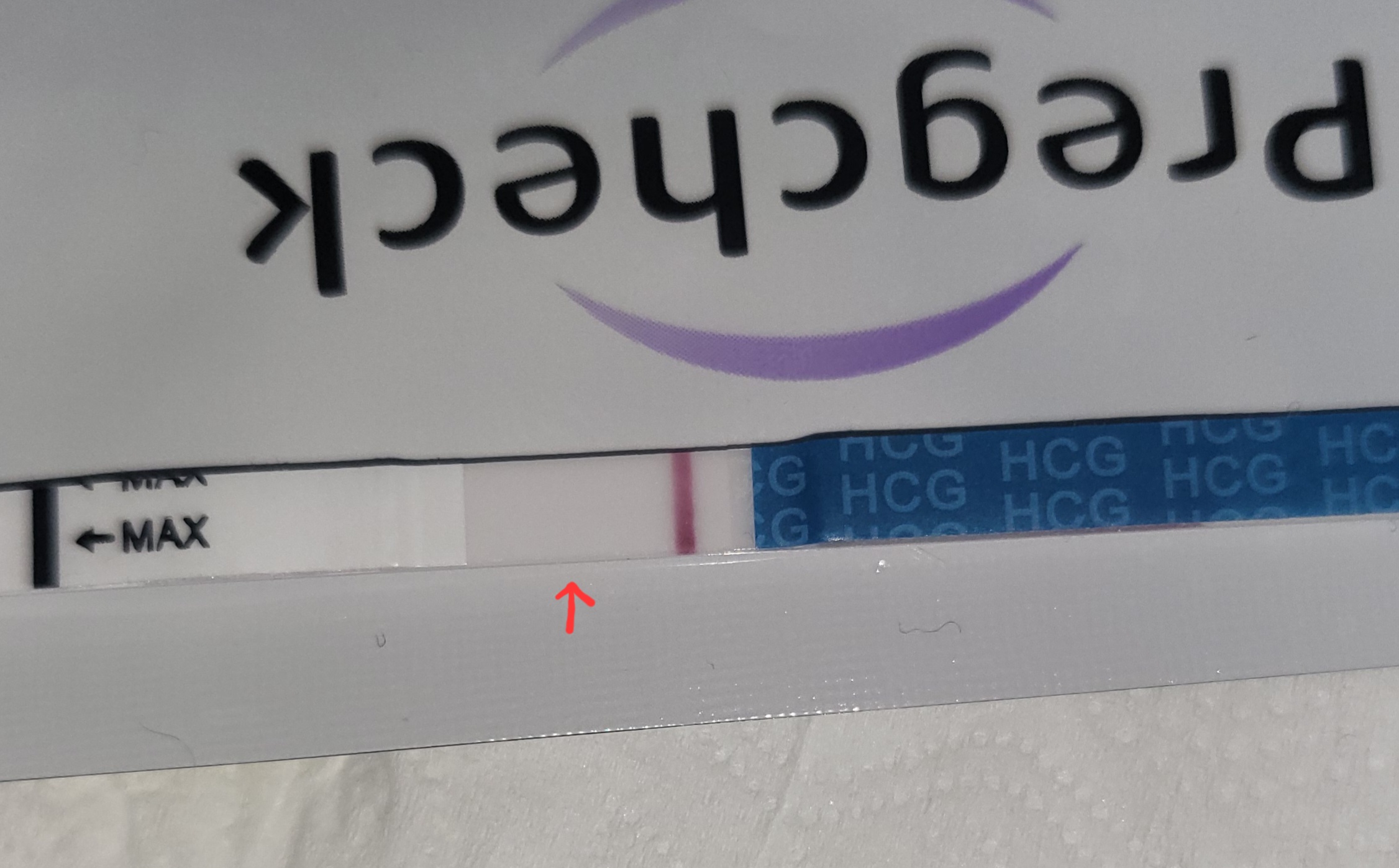 1000051911.jpg