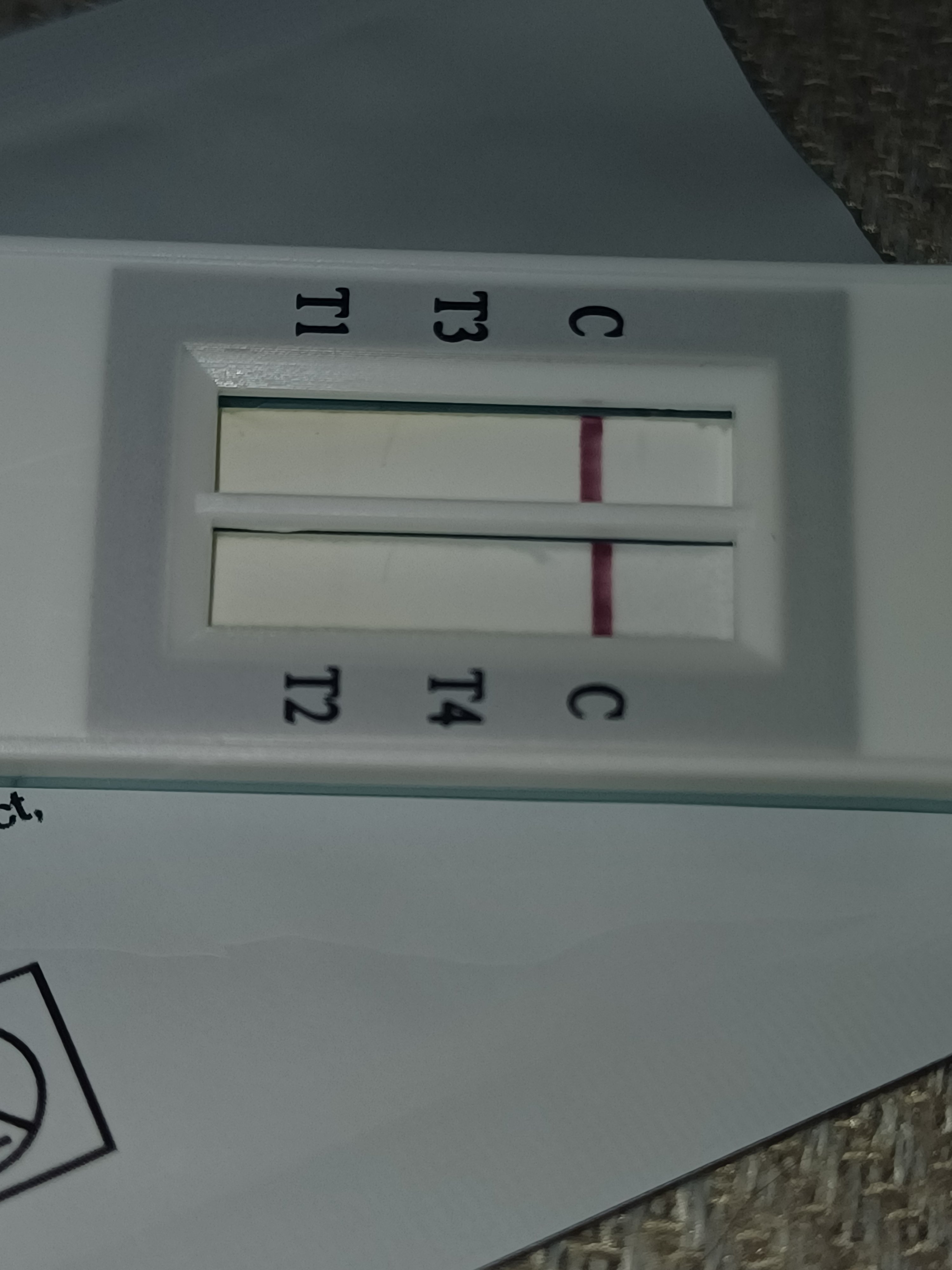 1000058127.jpg