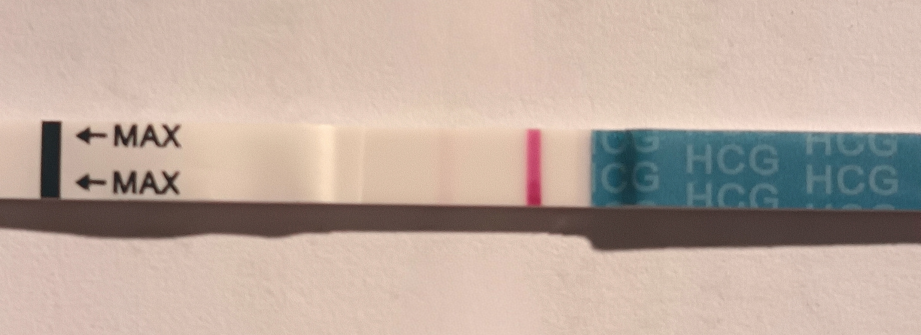 1000060533.jpg