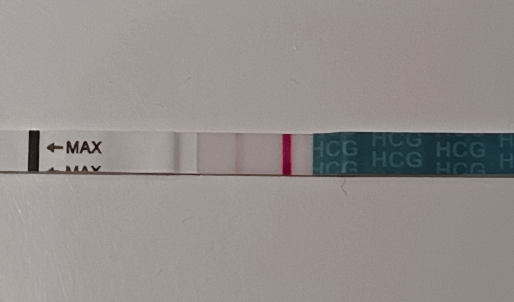 1000060601.jpg