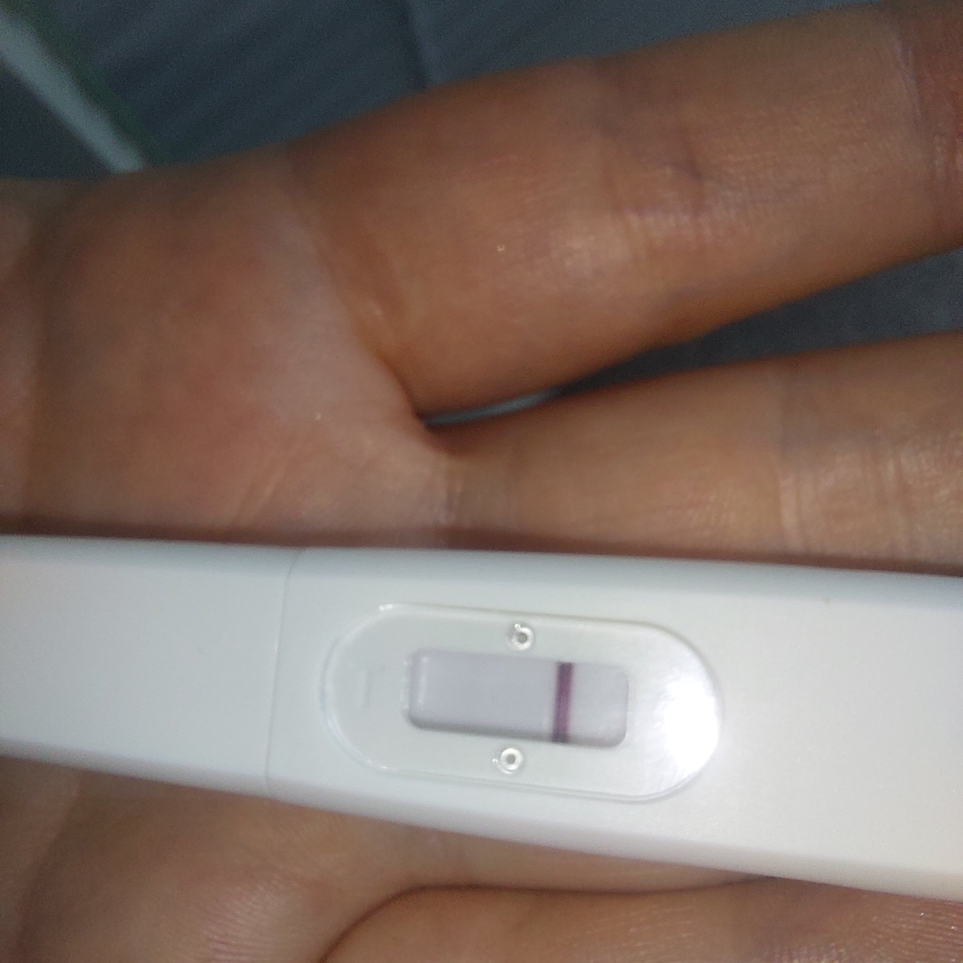 1000062440.jpg