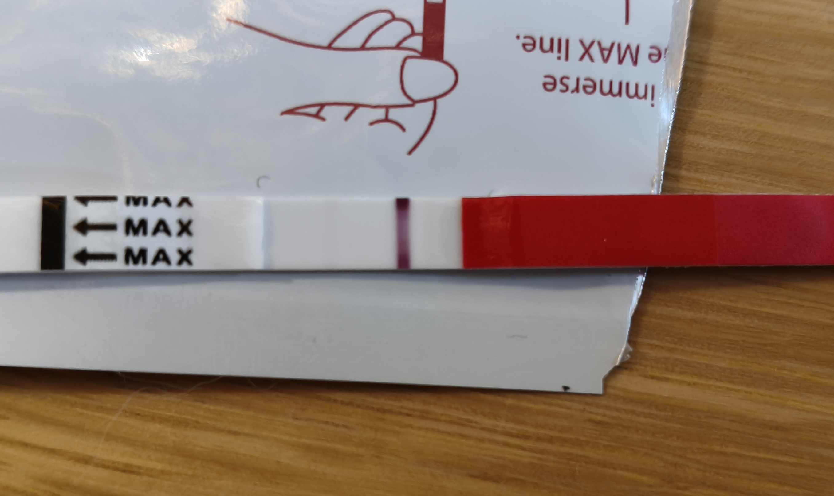 14484.jpg