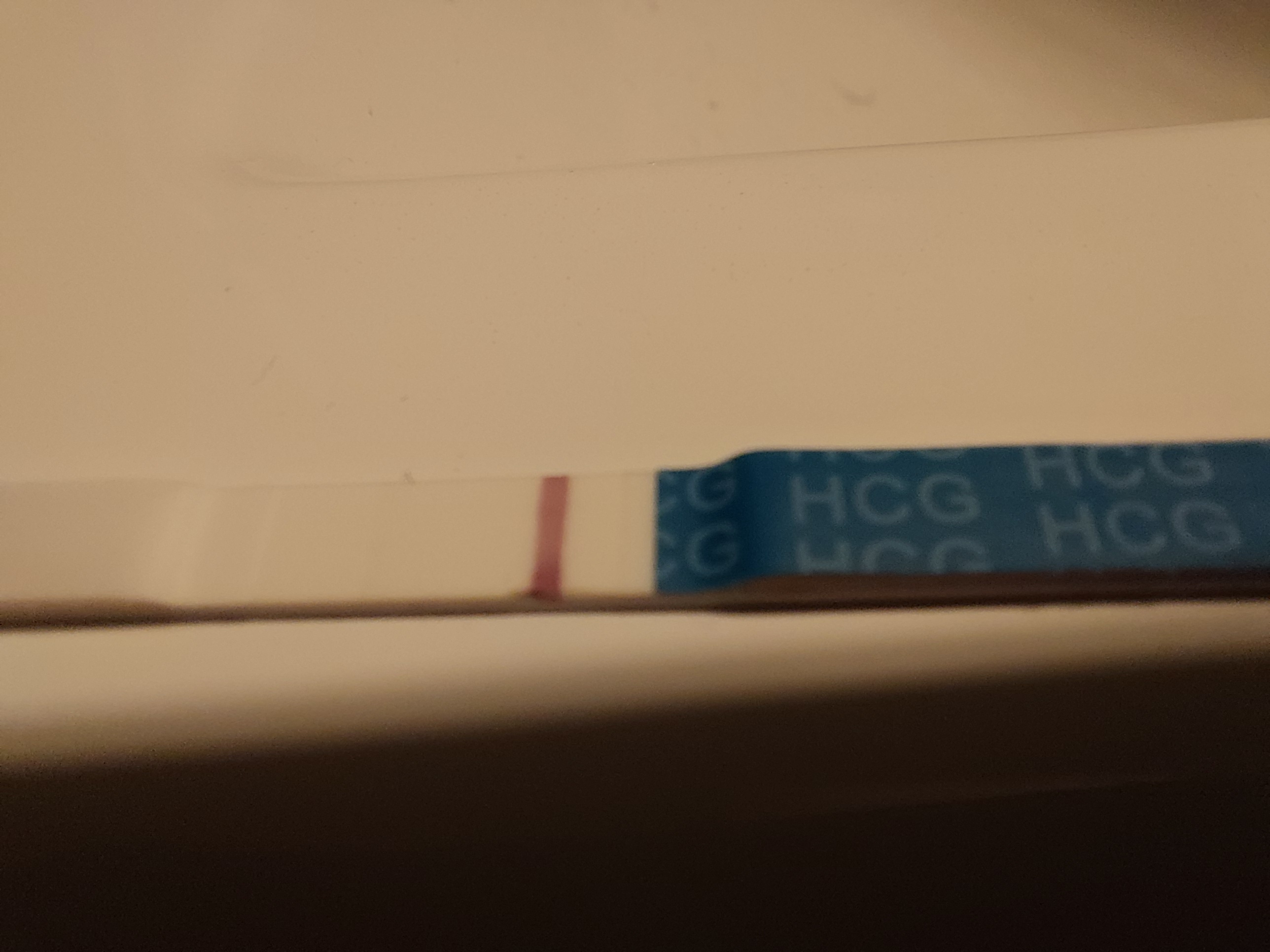 1728632534112.jpeg