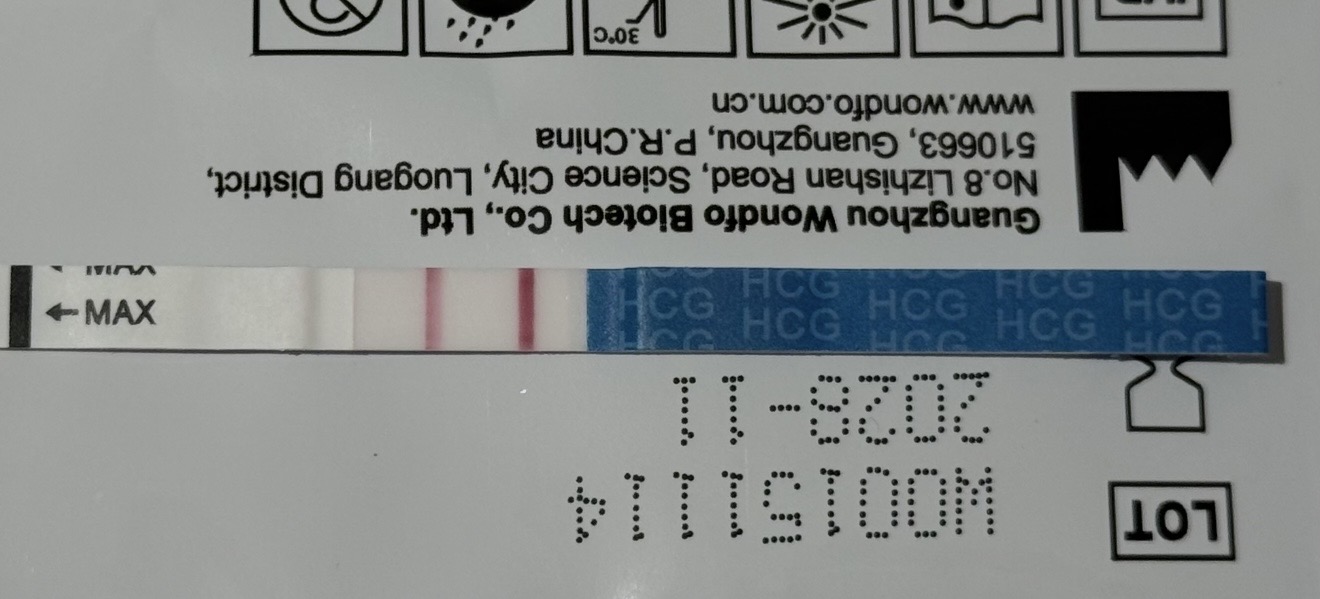 1779114368578.jpeg
