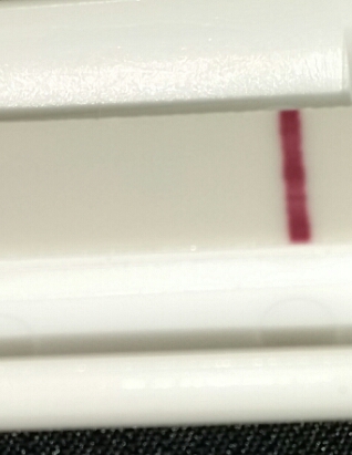 2015-04-25 22.54.50.jpg