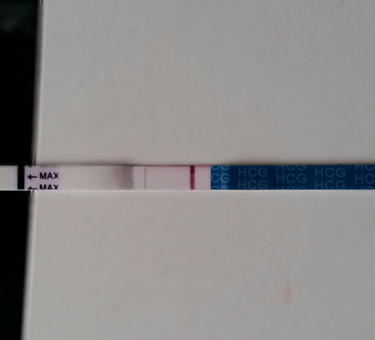 2015-09-29 11.27.07.jpg