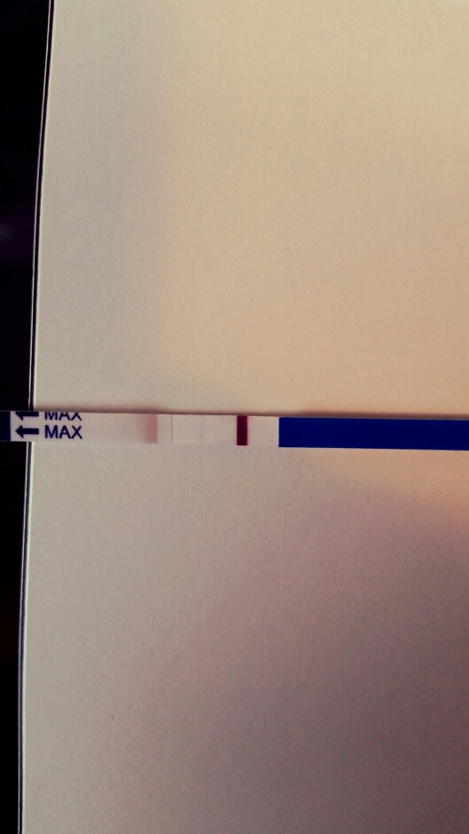 2015-10-13 12.52.31.jpg