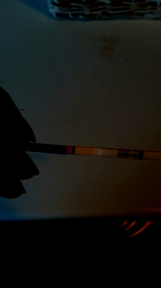 2015-10-16 11.03.25.jpg