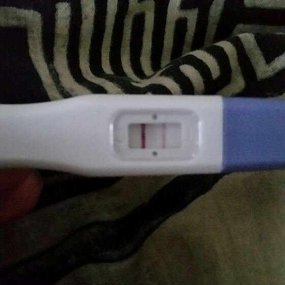 2015-10-18 08.55.17.jpg