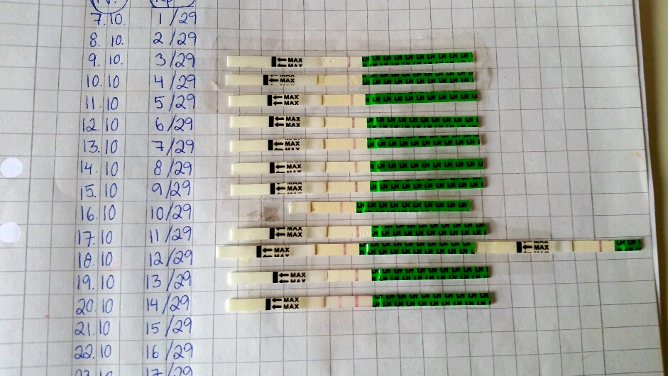 2015-10-20 12.28.51.jpg