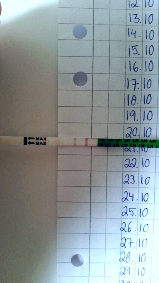 2015-10-20 12.30.27.jpg