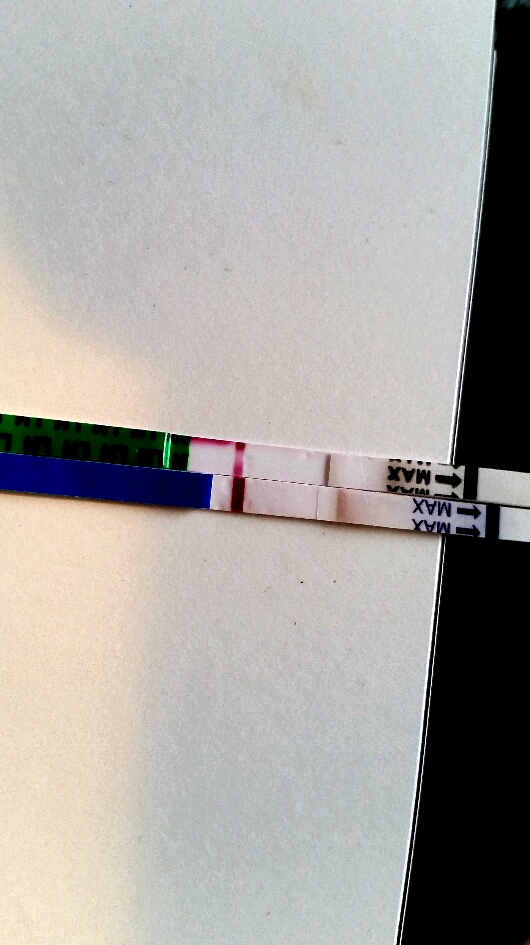 2015-10-31 14.18.24.jpg