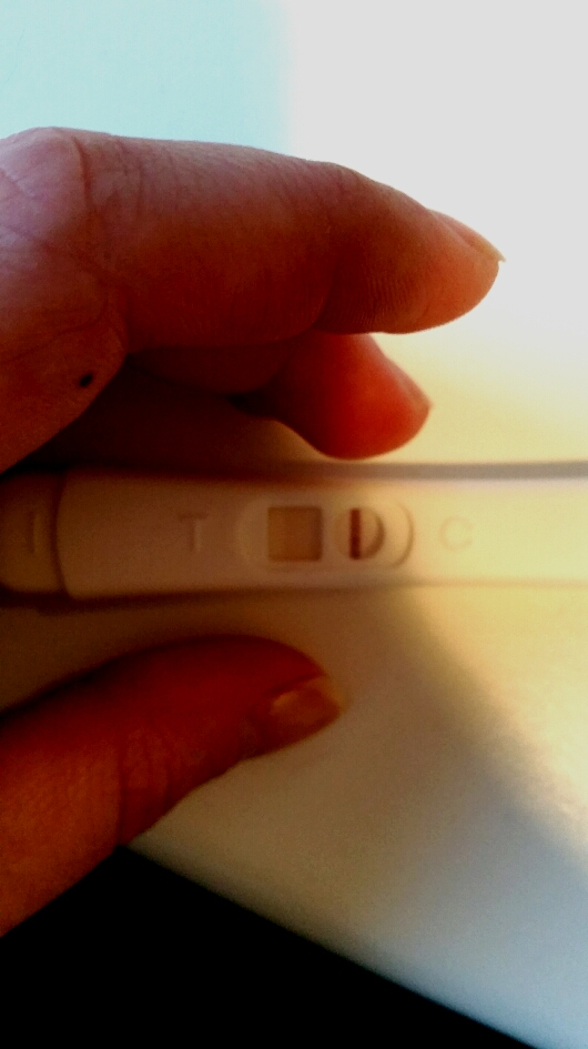 2015-11-03 08.52.06.jpg