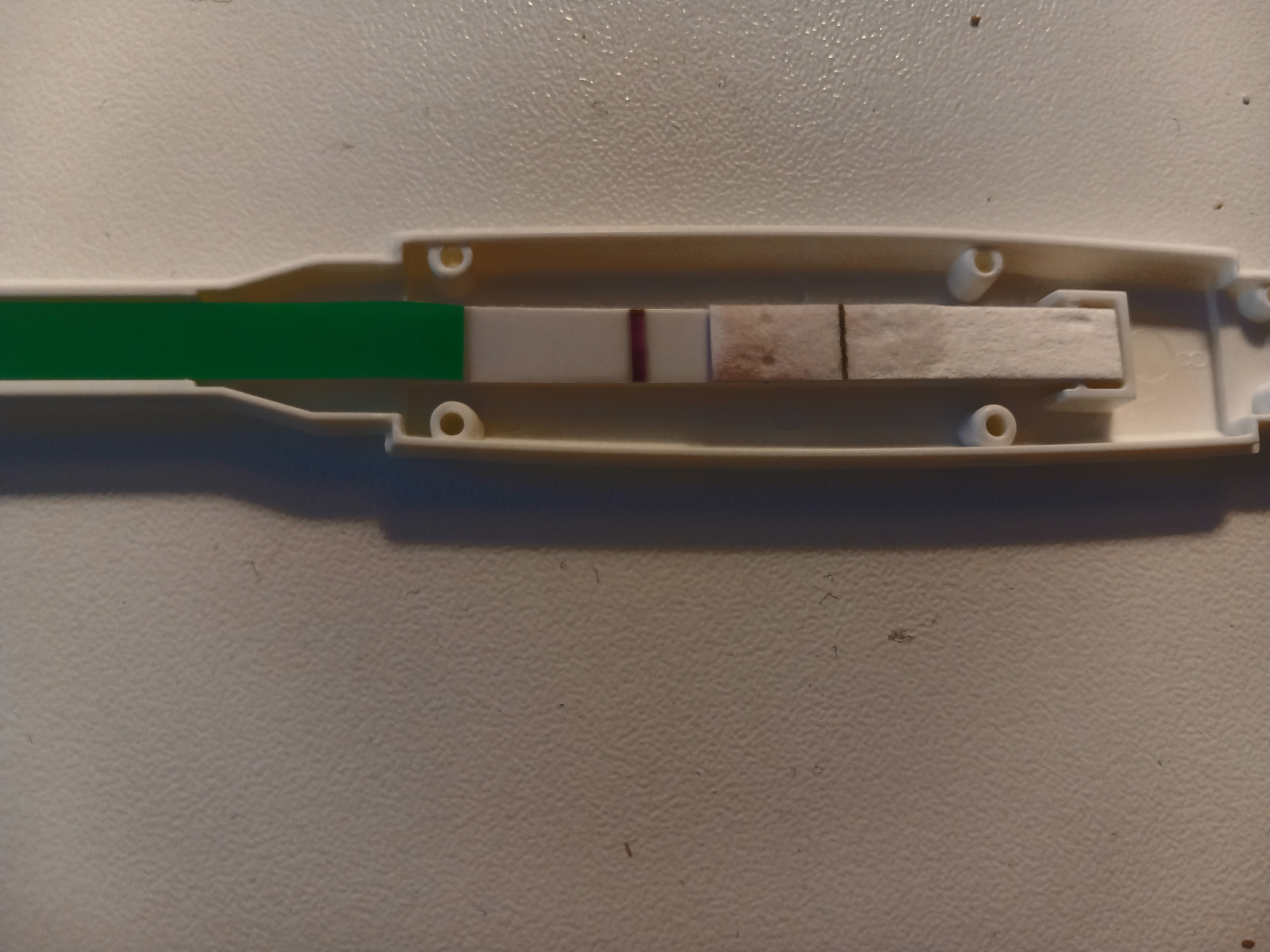 20240529_090236.jpg