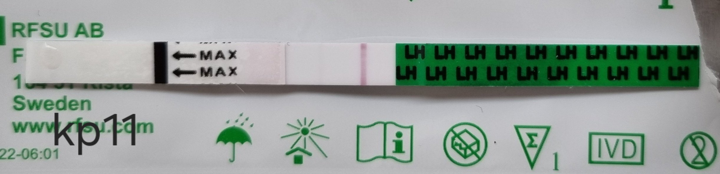 20241007_120902 (1).jpg