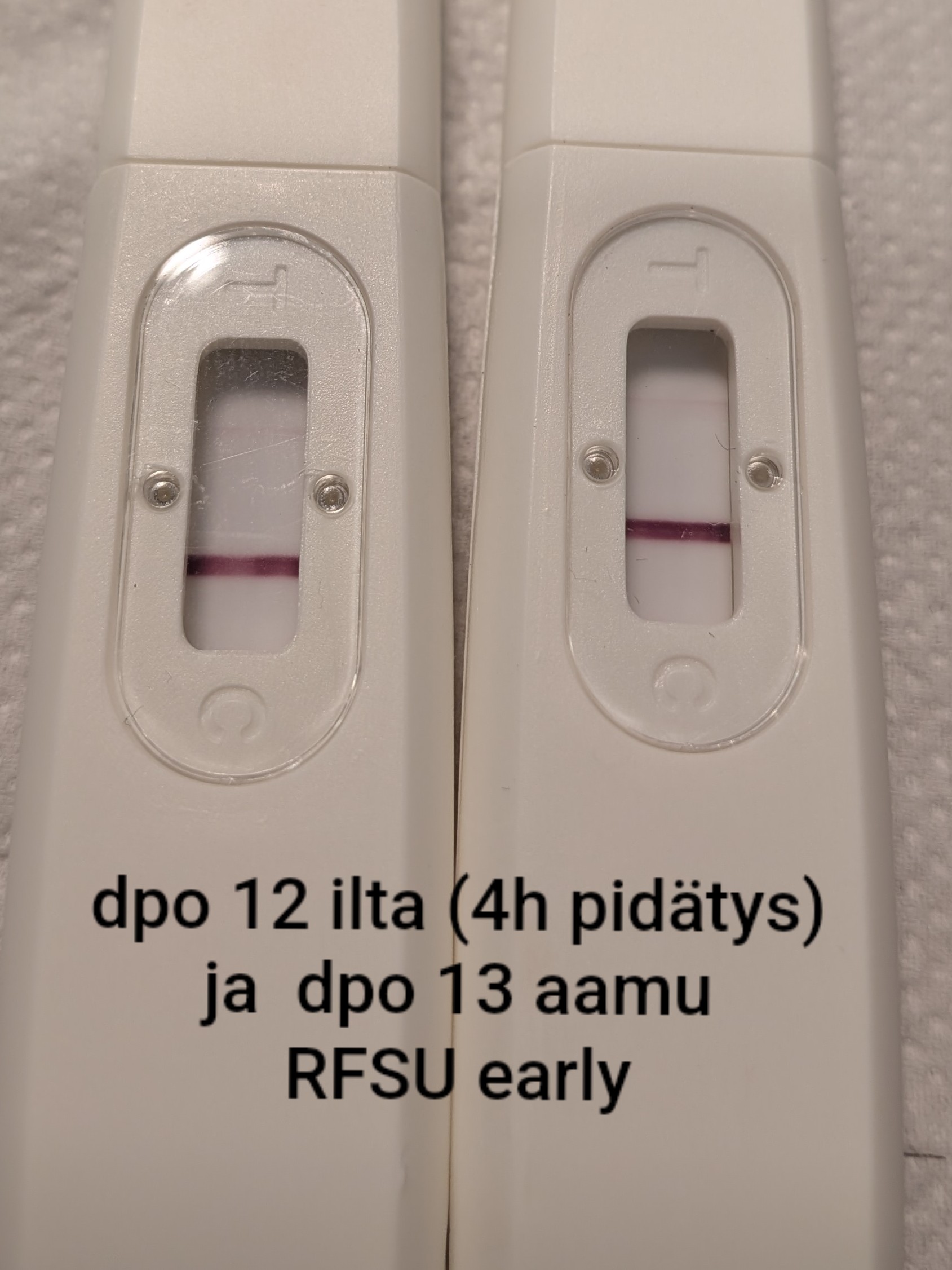 26346.jpg