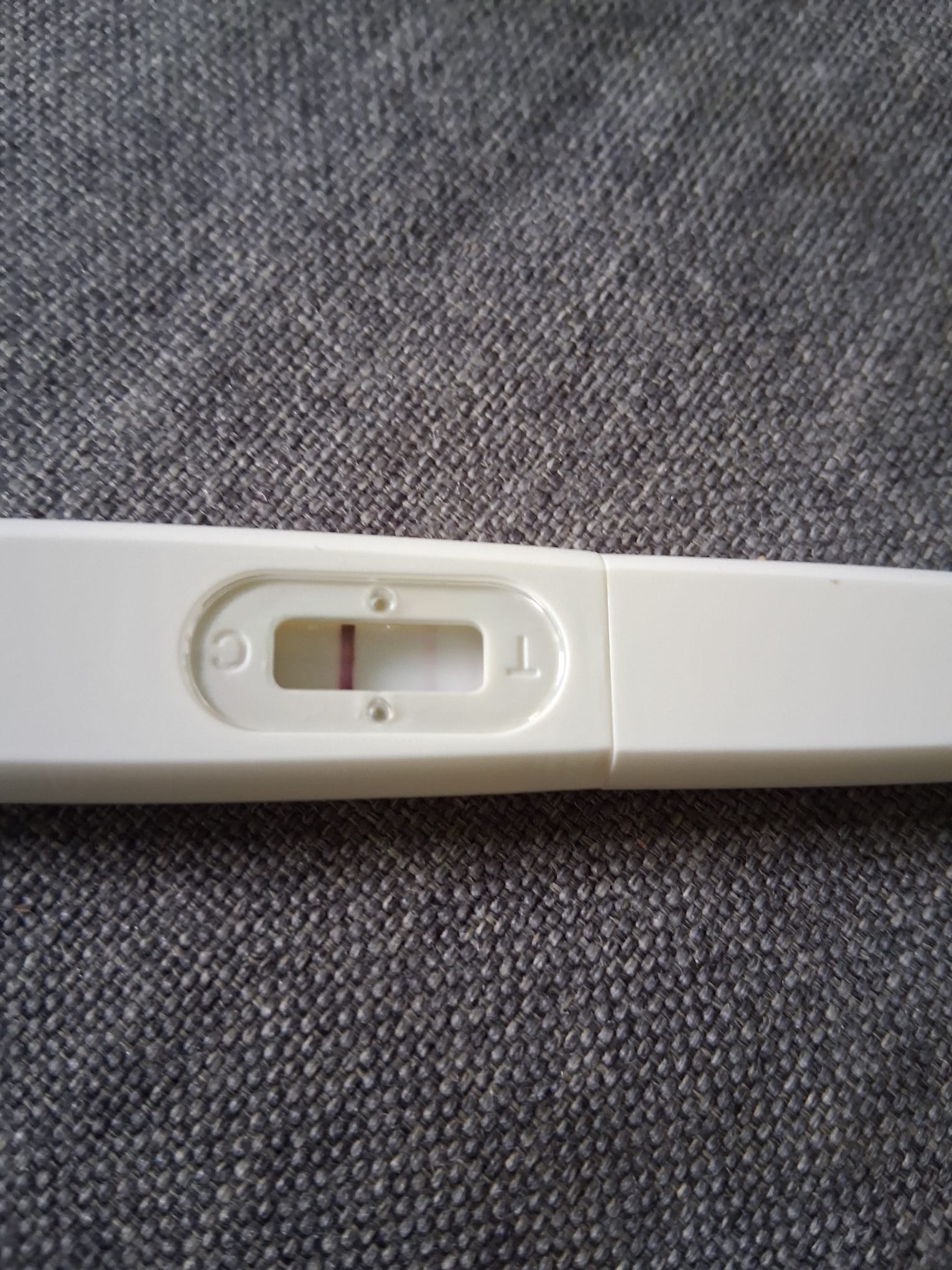 9167.jpg