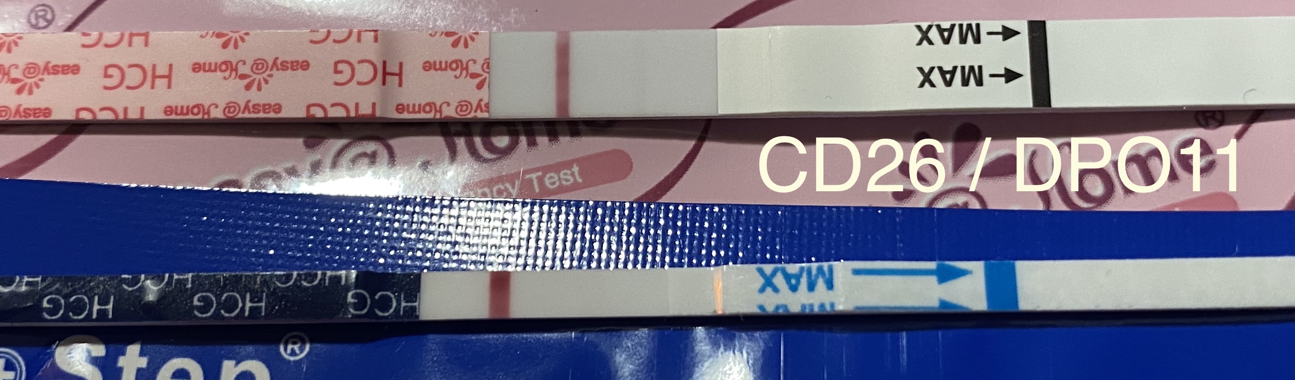 B1554E06-616D-4DC9-AAB1-673B37C4194B.jpeg