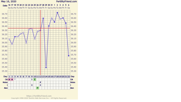 bbt touko-kesä 2020.png