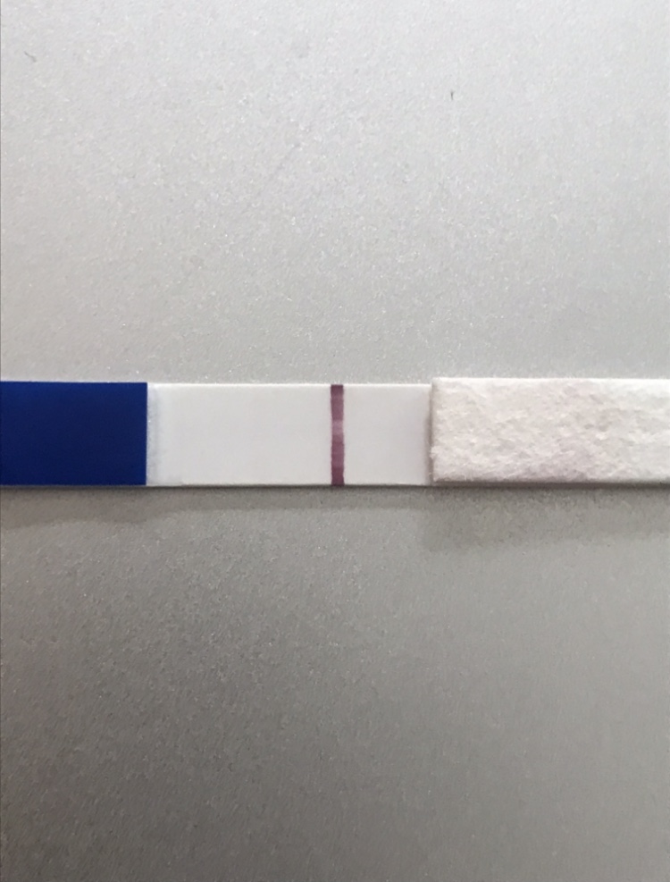 F96628D6-3D26-4520-977A-AD2F6F48721B.jpeg