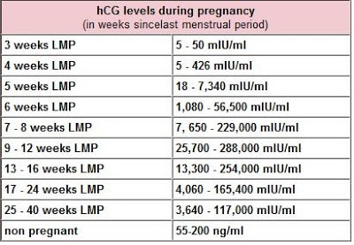 hCG-levels.jpg