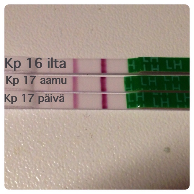 ImageUploadedByVau Foorumi1396600132.000998.jpg