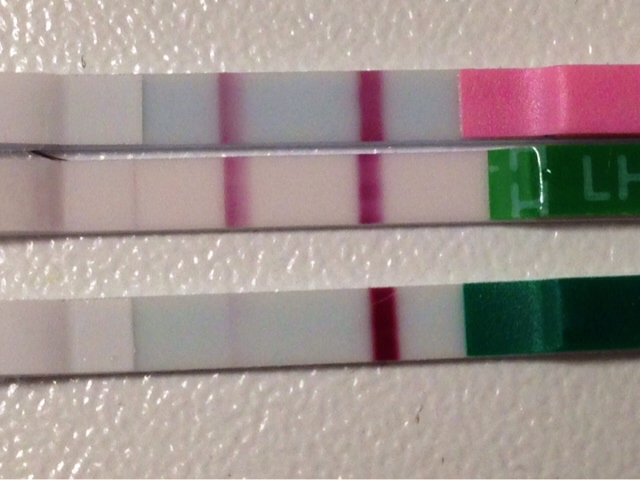 ImageUploadedByVau Foorumi1404243459.419272.jpg