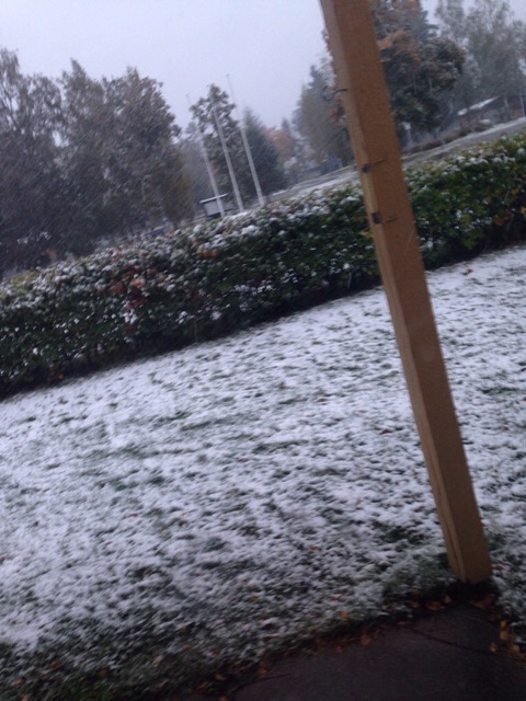 ImageUploadedByVau Foorumi1411453603.096009.jpg