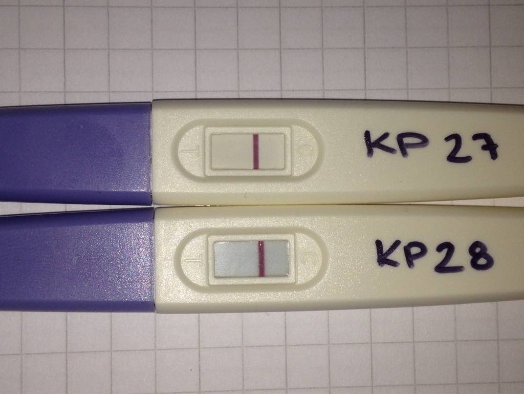 ImageUploadedByVau Foorumi1411893566.057095.jpg