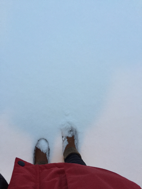 ImageUploadedByVau Foorumi1415341557.858158.jpg