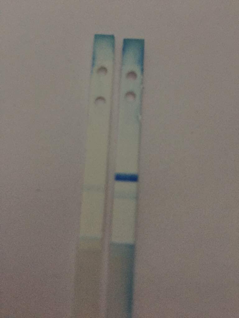 ImageUploadedByVau Foorumi1416128045.577479.jpg