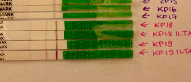 ImageUploadedByVau Foorumi1418148905.995670.jpg