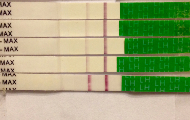 ImageUploadedByVau Foorumi1418190015.044859.jpg