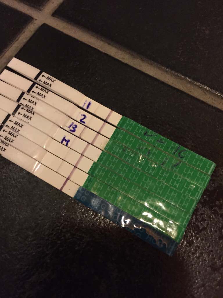 ImageUploadedByVau Foorumi1418393525.287969.jpg