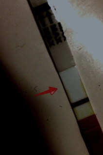 ImageUploadedByVau Foorumi1418484939.154888.jpg