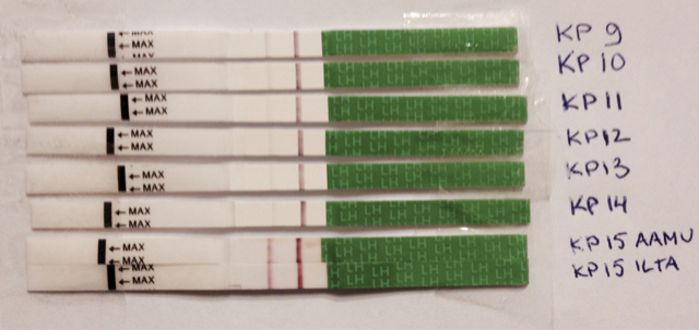 ImageUploadedByVau Foorumi1420648873.317053.jpg