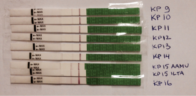 ImageUploadedByVau Foorumi1420697137.295568.jpg