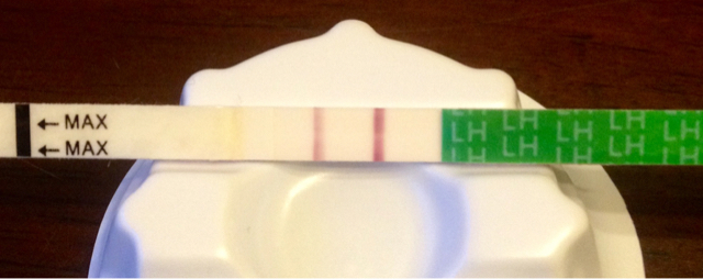 ImageUploadedByVau Foorumi1420703094.631906.jpg