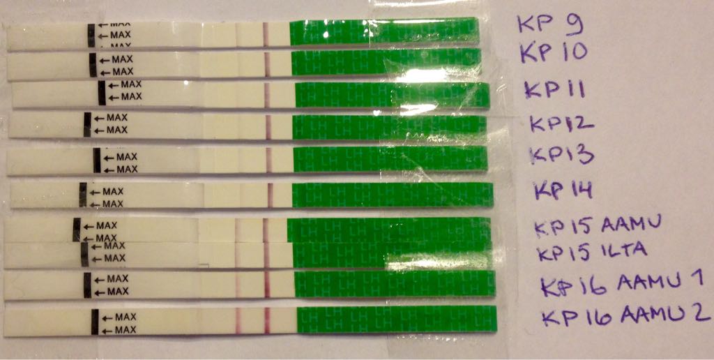 ImageUploadedByVau Foorumi1420703653.151230.jpg