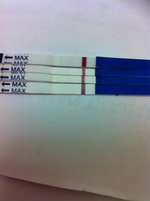 ImageUploadedByVau Foorumi1425624211.547841.jpg